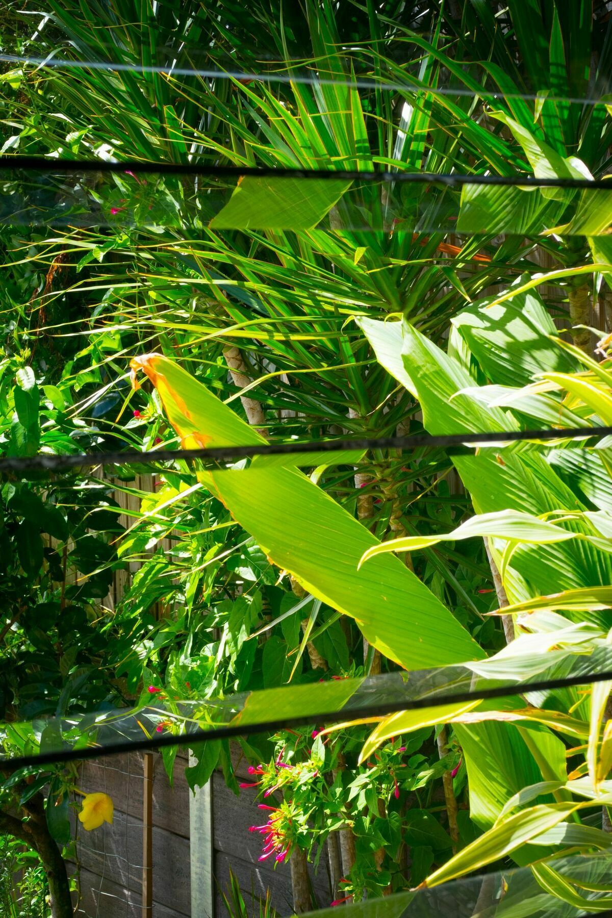 Ruskin House Byron Bay Exterior foto